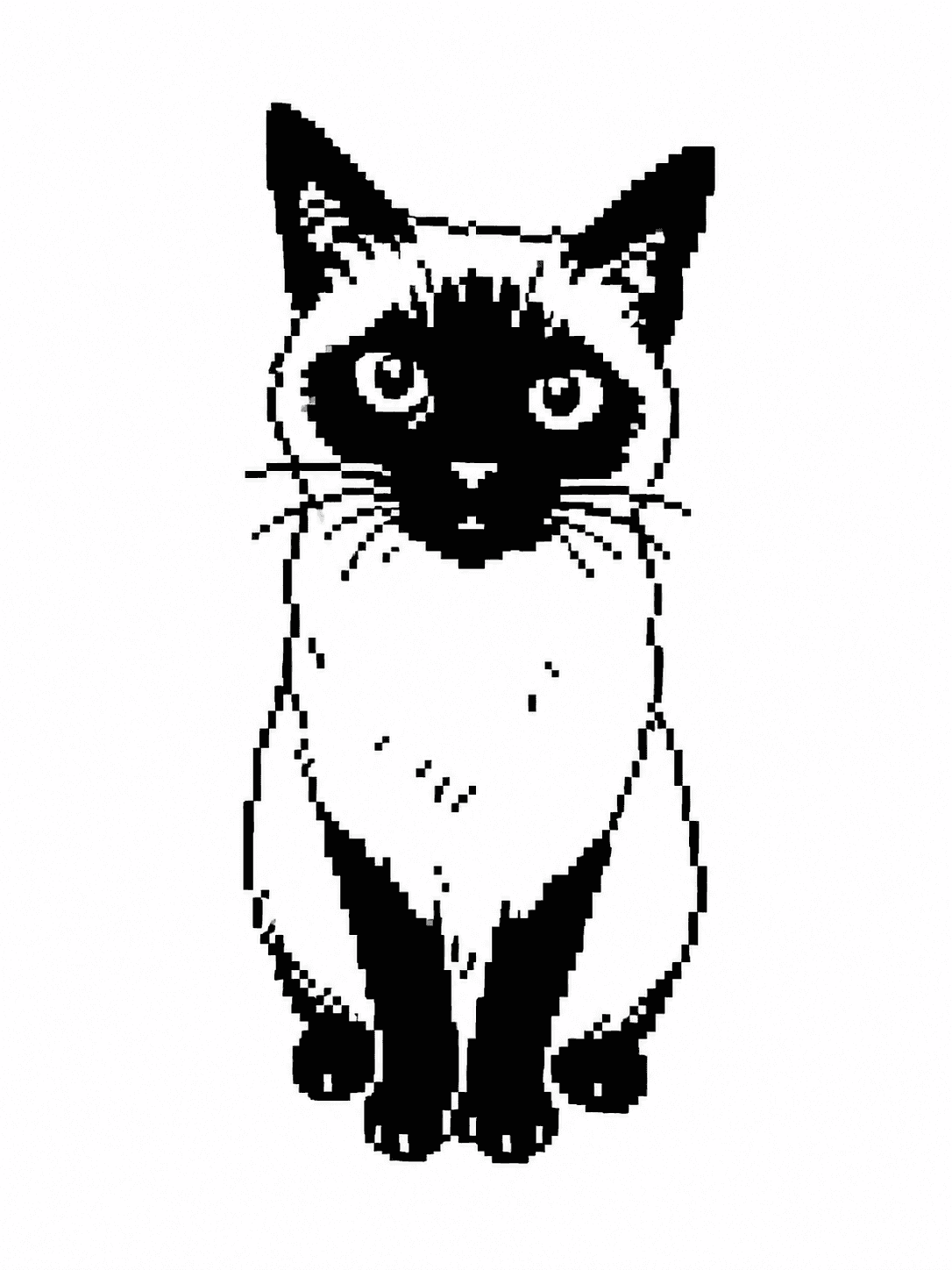 Koyote portrait image 6